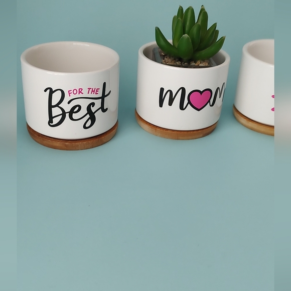 Ceramic Succulent Plant Pots Gift Mom 3.15 Inch Cactus Planter Flower new 3 pz - Picture 2 of 9